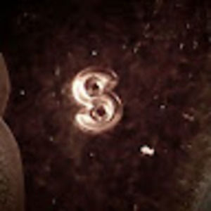 Meet your Posher, Craig